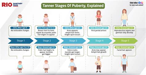 teens boobs|Stages of Puberty Explained in Pictures